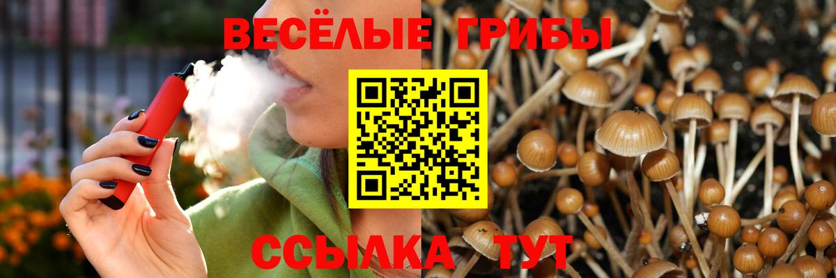 Псилоцибиновые грибы Magic Shrooms  Вход с VPN  Псилоцибиновые грибы мицелий  Чехов 